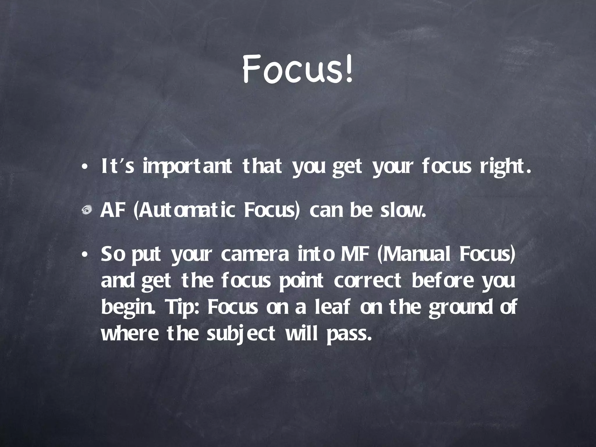 Focus! It’s important that you get your focus right.  AF (Automatic Focus) can be slow. So put your camera into MF (Manual Focus) and get the focus point correct before you begin. Tip: Focus on a leaf on the ground of where the subject will pass.  