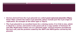 Shuttle vector - a plasmid vector used in rDNA technology. | PPTX