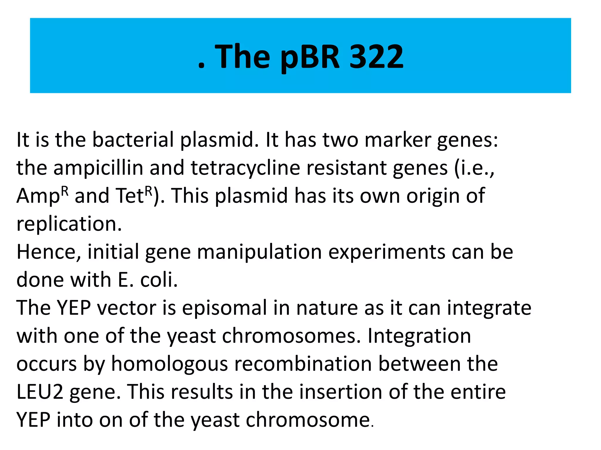 . The pBR 322
It is the bacterial plasmid. It has two marker genes:
the ampicillin and tetracycline resistant genes (i.e.,
AmpR and TetR). This plasmid has its own origin of
replication.
Hence, initial gene manipulation experiments can be
done with E. coli.
The YEP vector is episomal in nature as it can integrate
with one of the yeast chromosomes. Integration
occurs by homologous recombination between the
LEU2 gene. This results in the insertion of the entire
YEP into on of the yeast chromosome.
 