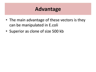 Advantage
• The main advantage of these vectors is they
can be manipulated in E.coli
• Superior as clone of size 500 kb
 