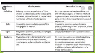 shuttle vectors ppts.pptx
