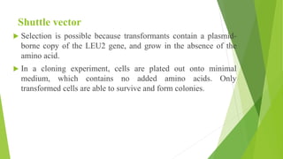 Shuttle vector
 Selection is possible because transformants contain a plasmid-
borne copy of the LEU2 gene, and grow in the absence of the
amino acid.
 In a cloning experiment, cells are plated out onto minimal
medium, which contains no added amino acids. Only
transformed cells are able to survive and form colonies.
 
