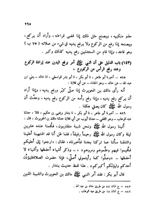 Sahih ibn Khuzaima Vol5