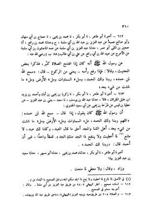 Sahih ibn Khuzaima Vol5