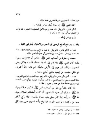 Sahih ibn Khuzaima Vol5