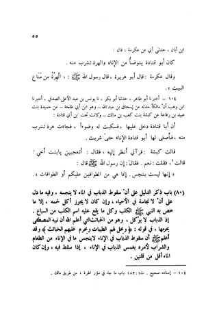 Sahih ibn Khuzaima Vol5