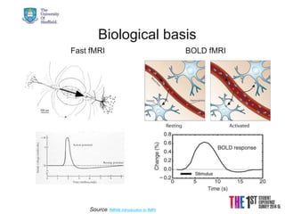 21/08/2015 © The University of Sheffield
Biological basis
Source: fMRIB Introduction to fMRI
Fast fMRI BOLD fMRI
 