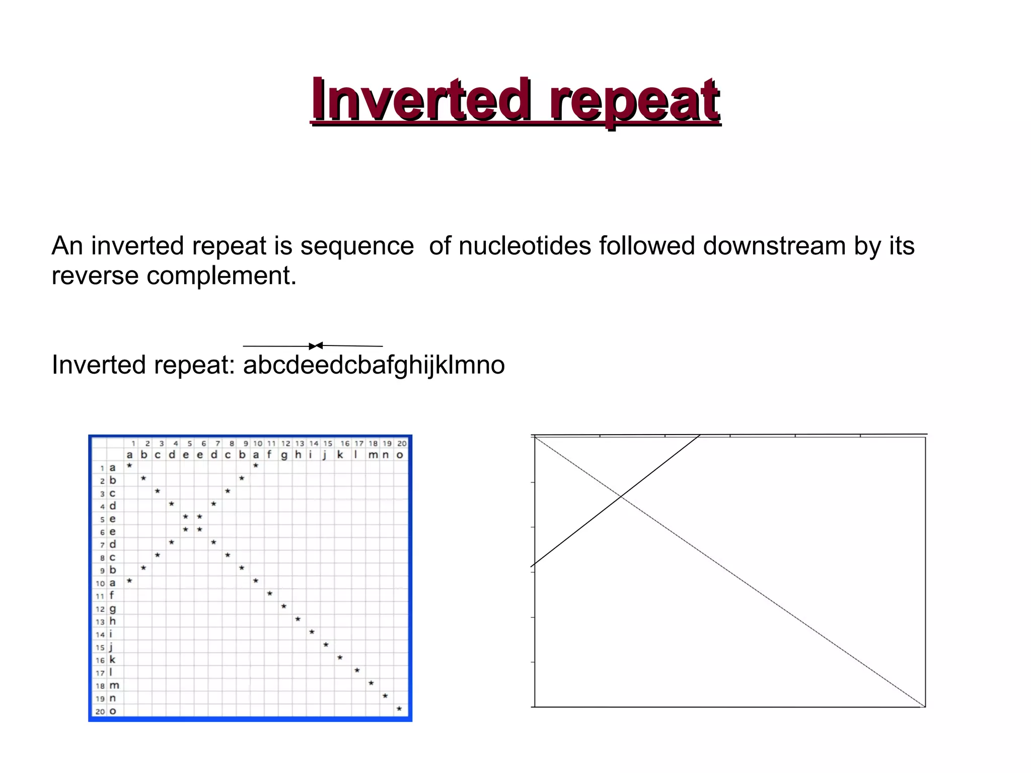 Inverted repeatInverted repeat
An inverted repeat is sequence of nucleotides followed downstream by its
reverse complement.
Inverted repeat: abcdeedcbafghijklmno
 