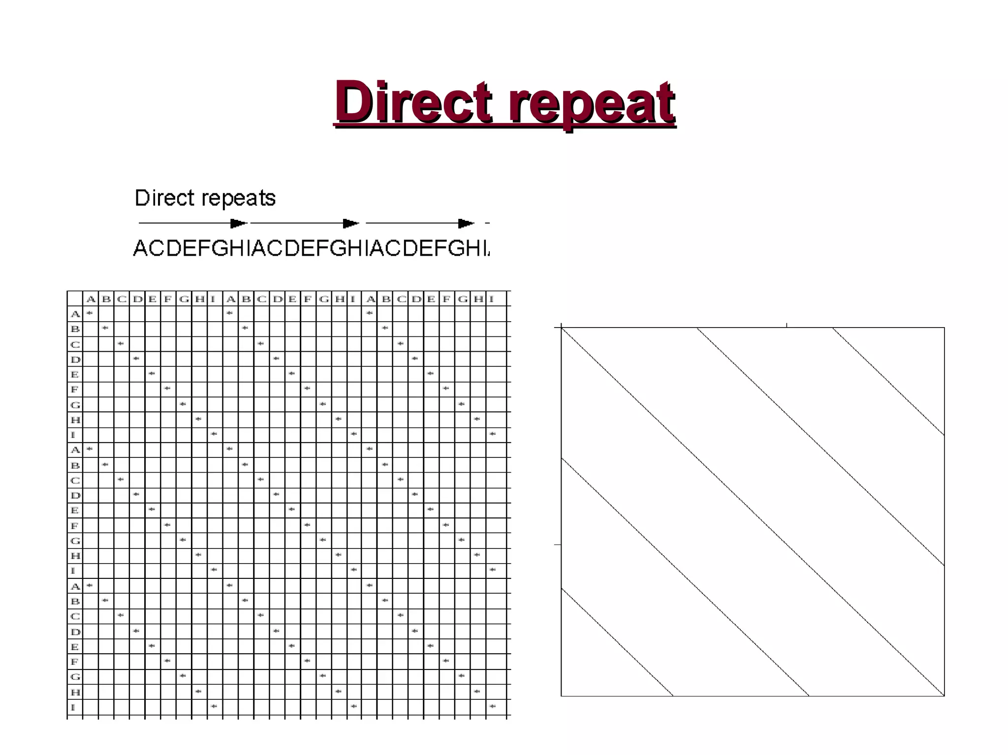 Direct repeatDirect repeat
 