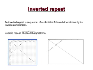 Inverted repeatInverted repeat
An inverted repeat is sequence of nucleotides followed downstream by its
reverse complement.
Inverted repeat: abcdeedcbafghijklmno
 