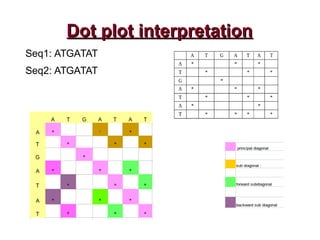 Dot plot interpretationDot plot interpretation
Seq1: ATGATAT
Seq2: ATGATAT
 
