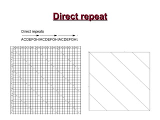 Direct repeatDirect repeat
 