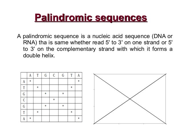 palindromic sequence 4 vs 6 palindromic sequence 4 vs 6