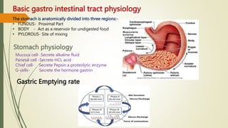 Basic gastro intestinal tract physiology
The stomach is anatomically divided into three regions:-
• FUNDUS- Proximal Part
• BODY - Act as a reservoir for undigested food
• PYLOROUS- Site of mixing
Stomach physiology
Mucous cell- Secrete alkaline fluid
Parietal cell -Secrete HCL acid
Chief cell- Secrete Pepsin a proteolytic enzyme
G-cells- Secrete the hormone gastrin
Gastric Emptying rate
 