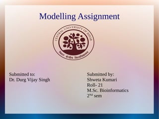 modelling assignment | PPT