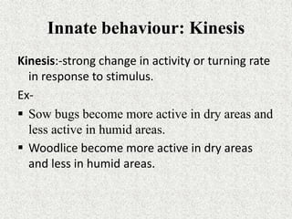 Innate behaviour: Kinesis
Kinesis:-strong change in activity or turning rate
in response to stimulus.
Ex-
 Sow bugs become more active in dry areas and
less active in humid areas.
 Woodlice become more active in dry areas
and less in humid areas.
 