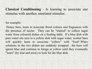 Classical Conditioning - Is learning to associate one
stimulus with another, unrelated stimulus.
for example-
Honey bees, learn to associate floral colours and fragrances with
the presence of nectar. They can be "trained" to collect sugar
water from coloured dishes on a feeding table. If a blue dish with
pure water sits next to a yellow dish with sugar water, worker bees
will quickly learn to associate "yellow" with "food“.When
solutions in the two dishes are suddenly swapped , the bees will
ignore blue and continue to forage at yellow until they eventually
"learn" (by trial and error) to look for the blue dish.
 
