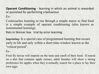 Imprinting- Is a special case of programmed learning that occurs
early in life and only within a short time-window known as the
"critical period".
Ex-
Fruit fly larvae will imprint on the taste and smell of their food. If reared
on a diet that contains apple extract, adult females will show a strong
preference for apples when they eventually search for a place to lay their
own eggs.
Operant Conditioning - learning in which an animal is rewarded
or punished for performing a behaviour.
Ex-
Cockroaches learning to run through a simple maize to find food
is a simple example of operant conditioning (also known as
instrumental learning).
Rats in Skinner box trial by error learning
 