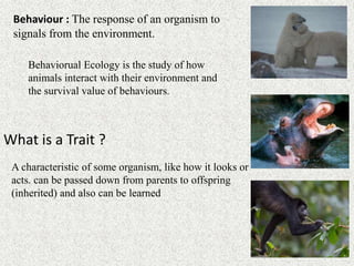 What is a Trait ?
A characteristic of some organism, like how it looks or
acts. can be passed down from parents to offspring
(inherited) and also can be learned
Behaviour : The response of an organism to
signals from the environment.
Behaviorual Ecology is the study of how
animals interact with their environment and
the survival value of behaviours.
 