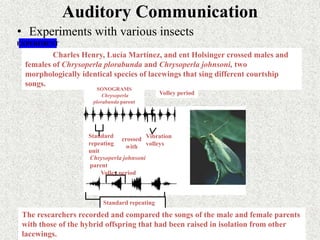 Auditory Communication
• Experiments with various insects
Charles Henry, Lucía Martínez, and ent Holsinger crossed males and
females of Chrysoperla plorabunda and Chrysoperla johnsoni, two
morphologically identical species of lacewings that sing different courtship
songs.
EXPERIMENT
SONOGRAMS
Chrysoperla
plorabunda parent
Vibration
volleys
Standard
repeating
unit
Chrysoperla johnsoni
parent
Volley period
crossed
with
Standard repeating
unit
The researchers recorded and compared the songs of the male and female parents
with those of the hybrid offspring that had been raised in isolation from other
lacewings.
Volley period
 