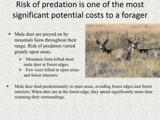 Risk of predation is one of the most
significant potential costs to a forager
 Mule deer are preyed on by
mountain lions throughout their
range. Risk of predation varied
greatly upon areas.
 Mule deer feed predominantly in open areas, avoiding forest edges and forest
interiors. When deer are at the forest edge, they spend significantly more time
scanning their surroundings.
 Mountain lions killed most
mule deer at forest edges.
 Few were killed in open areas
and forest interiors.
 