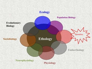 Ethology
Ecology
Population Biology
Genetics
Endocrinology
Physiology
Neurophysiology
Sociobiology
Evolutionary
Biology
 