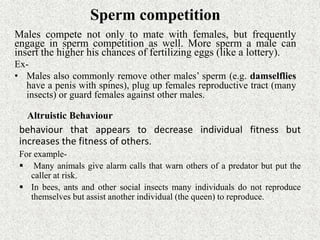 behaviour that appears to decrease individual fitness but
increases the fitness of others.
For example-
 Many animals give alarm calls that warn others of a predator but put the
caller at risk.
 In bees, ants and other social insects many individuals do not reproduce
themselves but assist another individual (the queen) to reproduce.
Sperm competition
Males compete not only to mate with females, but frequently
engage in sperm competition as well. More sperm a male can
insert the higher his chances of fertilizing eggs (like a lottery).
Ex-
• Males also commonly remove other males’ sperm (e.g. damselflies
have a penis with spines), plug up females reproductive tract (many
insects) or guard females against other males.
Altruistic Behaviour
 