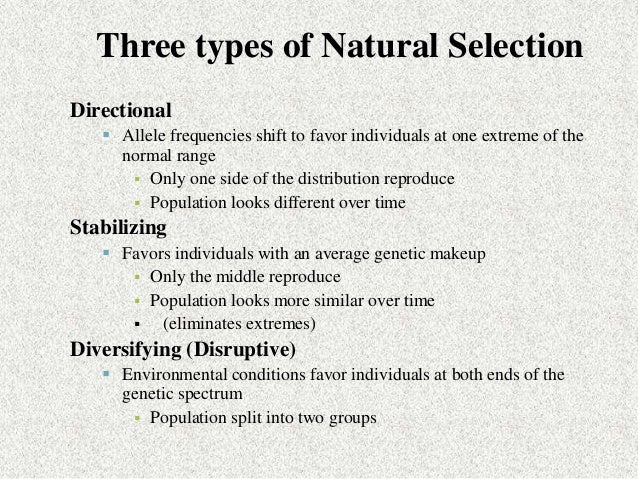 Darwin S Three Conditions For Natural Selection Darwin S Three Conditions For Natural Selection