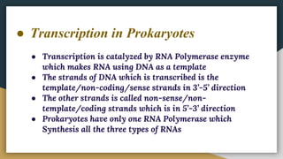 ● Transcription in Prokaryotes
● Transcription is catalyzed by RNA Polymerase enzyme
which makes RNA using DNA as a template
● The strands of DNA which is transcribed is the
template/non-coding/sense strands in 3’-5’ direction
● The other strands is called non-sense/non-
template/coding strands which is in 5’-3’ direction
● Prokaryotes have only one RNA Polymerase which
Synthesis all the three types of RNAs
 