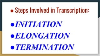 ● Steps Involved in Transcription:
●INITIATION
●ELONGATION
●TERMINATION
 