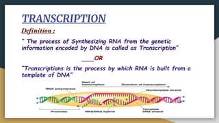 TRANSCRIPTION
Definition :
“ The process of Synthesizing RNA from the genetic
information encoded by DNA is called as Transcription”
OR
“Transcriptions is the process by which RNA is built from a
template of DNA”
 