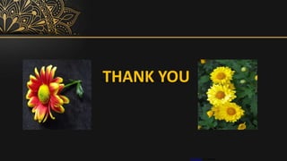 THANK YOU
This Photo by Unknown
 