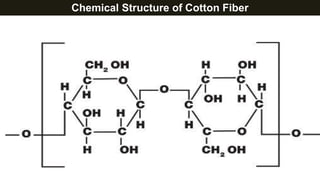 Chemical Structure of Cotton Fiber
 