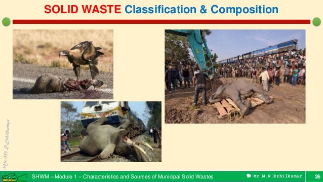Sources, types & composition - Municipal Solid Wastes | PDF