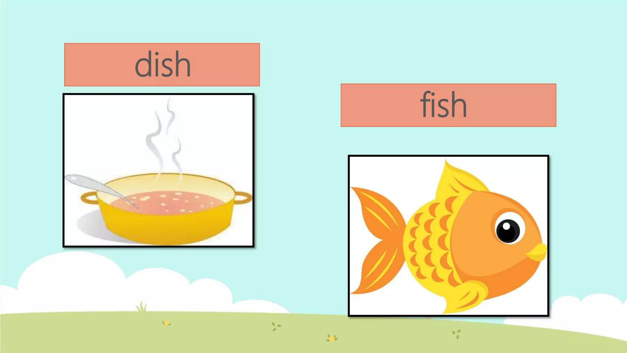 dish
fish