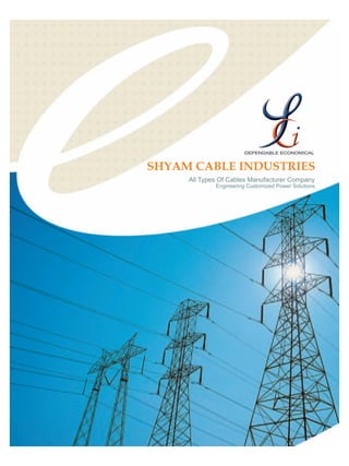 SHYAM CABLE INDUSTRIES
All Types Of Cables Manufacturer Company
Engineering Customized Power Solutions

 
