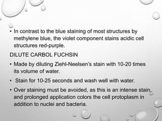 • In contrast to the blue staining of most structures by
methylene blue, the violet component stains acidic cell
structures red-purple.
DILUTE CARBOL FUCHSIN
• Made by diluting Ziehl-Neelsen’s stain with 10-20 times
its volume of water.
• Stain for 10-25 seconds and wash well with water.
• Over staining must be avoided, as this is an intense stain,
and prolonged application colors the cell protoplasm in
addition to nuclei and bacteria.
 