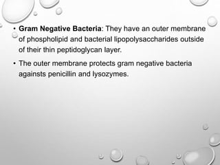 • Gram Negative Bacteria: They have an outer membrane
of phospholipid and bacterial lipopolysaccharides outside
of their thin peptidoglycan layer.
• The outer membrane protects gram negative bacteria
againsts penicillin and lysozymes.
 