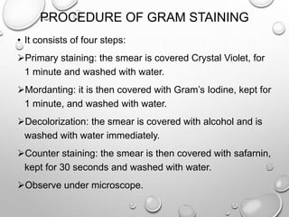 PROCEDURE OF GRAM STAINING
• It consists of four steps:
Primary staining: the smear is covered Crystal Violet, for
1 minute and washed with water.
Mordanting: it is then covered with Gram’s Iodine, kept for
1 minute, and washed with water.
Decolorization: the smear is covered with alcohol and is
washed with water immediately.
Counter staining: the smear is then covered with safarnin,
kept for 30 seconds and washed with water.
Observe under microscope.
 