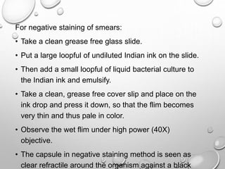 For negative staining of smears:
• Take a clean grease free glass slide.
• Put a large loopful of undiluted Indian ink on the slide.
• Then add a small loopful of liquid bacterial culture to
the Indian ink and emulsify.
• Take a clean, grease free cover slip and place on the
ink drop and press it down, so that the flim becomes
very thin and thus pale in color.
• Observe the wet flim under high power (40X)
objective.
• The capsule in negative staining method is seen as
clear refractile around the organism against a black
 