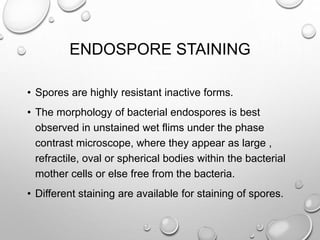 ENDOSPORE STAINING
• Spores are highly resistant inactive forms.
• The morphology of bacterial endospores is best
observed in unstained wet flims under the phase
contrast microscope, where they appear as large ,
refractile, oval or spherical bodies within the bacterial
mother cells or else free from the bacteria.
• Different staining are available for staining of spores.
 