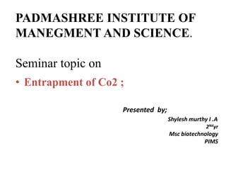 PADMASHREE INSTITUTE OF
MANEGMENT AND SCIENCE.
Seminar topic on
• Entrapment of Co2 ;
Presented by;
Shylesh murthy I .A
2Ndyr
Msc biotechnology
PIMS
 
