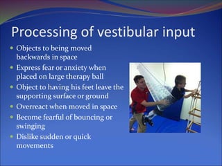 Processing of vestibular input
 Objects to being moved
backwards in space
 Express fear or anxiety when
placed on large therapy ball
 Object to having his feet leave the
supporting surface or ground
 Overreact when moved in space
 Become fearful of bouncing or
swinging
 Dislike sudden or quick
movements
 