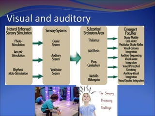 Visual and auditory
 