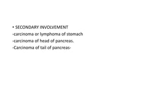 • SECONDARY INVOLVEMENT
-carcinoma or lymphoma of stomach
-carcinoma of head of pancreas.
-Carcinoma of tail of pancreas-
 