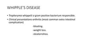 WHIPPLE’S DISEASE
• Tropheryma whippelii a gram positive bacterium responsible.
• Clinical presentations-arthritis (most comman extra intestinal
complication)
-bloating.
-weight loss.
-steatorrohea.
 