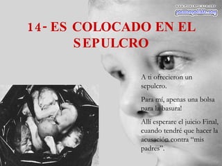 14- ES COLOCADO EN EL SEPULCRO A ti ofrecieron un  sepulcro. Para mí, apenas una bolsa para la basura! Allí esperare el juicio Final, cuando tendré que hacer la acusación contra “mis padres”. 