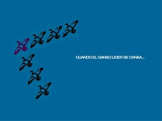 CUANDO EL GANSO LIDER SE CANSA... 