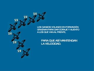 g g g g g g LOS GANSOS VOLANDO EN FORMACIÓN GRAZNAN PARA DAR CORAJE Y ALIENTO A LOS QUE VAN AL FRENTE, PARA QUE ASÍ MANTENGAN LA VELOCIDAD. 