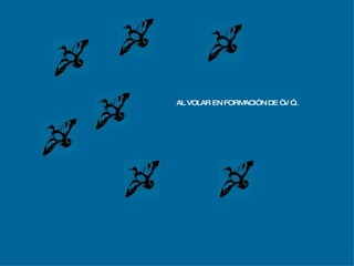 AL VOLAR EN FORMACIÓN DE “ V ”... 